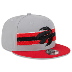 Toronto Raptors Chenille Band 9FIFTY Snapback Hat On Sale