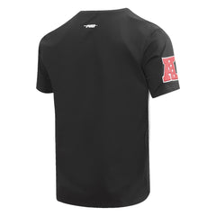 Las Vegas Raiders Pro Standard Hybrid T-Shirt