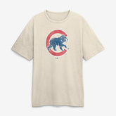 Chicago Cubs Fanatics Stadium Slub T-Shirt | MLB New