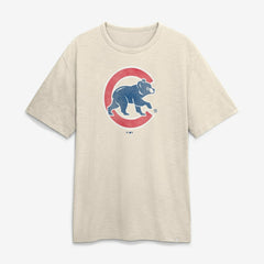 Chicago Cubs Fanatics Stadium Slub T-Shirt | MLB New