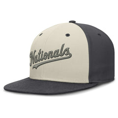 Washington Nationals Nike Dri-FIT True Fitted Hat | MLB Shop