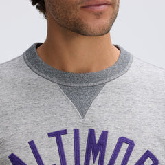 Baltimore Ravens Fanatics IconicFleece Pocket Sweatshirt
