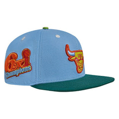 Chicago Bulls Pro Standard Retro Program 2-Tone Snapback Hat Online