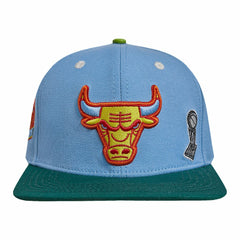 Chicago Bulls Pro Standard Retro Program 2-Tone Snapback Hat Online
