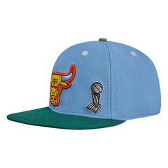 Chicago Bulls Pro Standard Retro Program 2-Tone Snapback Hat Online