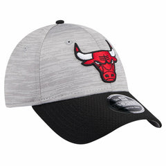 Chicago Bulls Active Digi-Tech Two-Tone 9FORTY Adjustable Hat Online