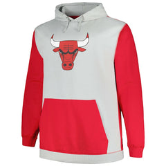 Chicago Bulls Big & Tall Primary Arctic Pullover Hoodie Online