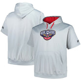 New Orleans Pelicans Big & Tall Logo Pullover Hoodie Outlet