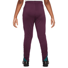 Paris Saint-Germain Youth 2024/25 Strike Training Pants Burgundy - Nike