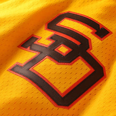 Tony Gwynn San Diego Padres Mitchell & Ness Authentic Batting Practice Jersey | MLB Near me