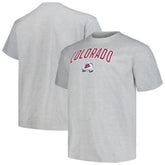Colorado Avalanche Profile Big & Tall Arch Over Logo T-Shirt Outlet