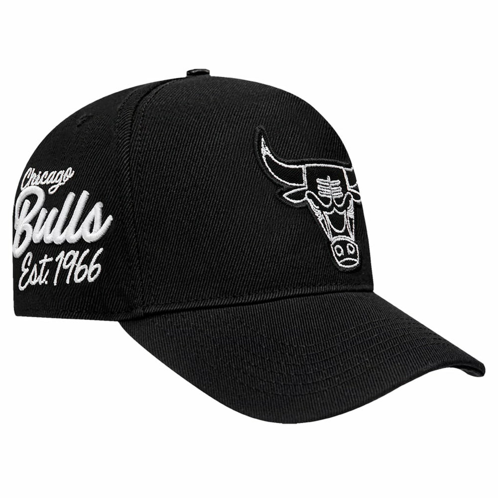 Chicago Bulls Pro Standard Paint the City Pinch Front Snapback Hat Online
