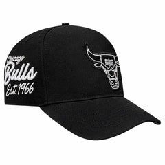 Chicago Bulls Pro Standard Paint the City Pinch Front Snapback Hat Online