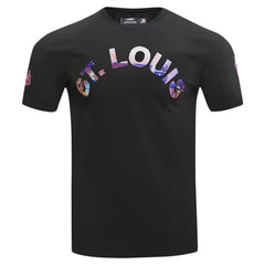 St. Louis Cardinals Pro Standard Cityscape T-Shirt | MLB Near me