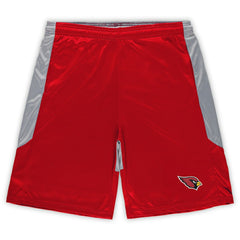 Arizona Cardinals Fanatics Big & Tall Team Logo Shorts