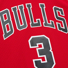 Dwyane Wade Chicago Bulls 2016/17 Hardwood Classics Swingman Jersey sale Online