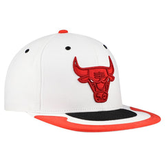 Chicago Bulls Day 4 Snapback Hat Outlet