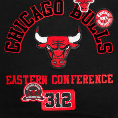 Chicago Bulls Pro Standard Women's Area Code Cropped Pullover Sweatshirt Discount