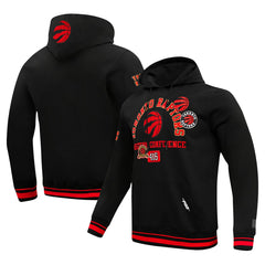 Toronto Raptors Pro Standard Area Code Pullover Hoodie On Sale