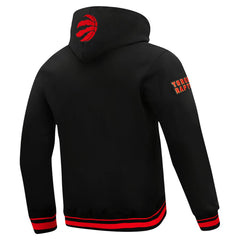 Toronto Raptors Pro Standard Area Code Pullover Hoodie On Sale