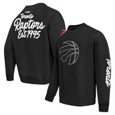 Toronto Raptors Pro Standard Paint the City Drop Shoulder Sweatshirt On Sale