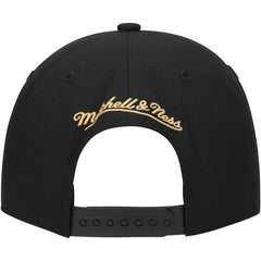 Florida Panthers Mitchell & Ness Core Team Script 2.0 Snapback Hat Online
