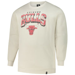 Chicago Bulls '47 Big & Tall Spotlight Headline Pullover Sweatshirt Online