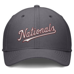 Washington Nationals Nike Swoosh Performance Flex Hat | MLB On Sale