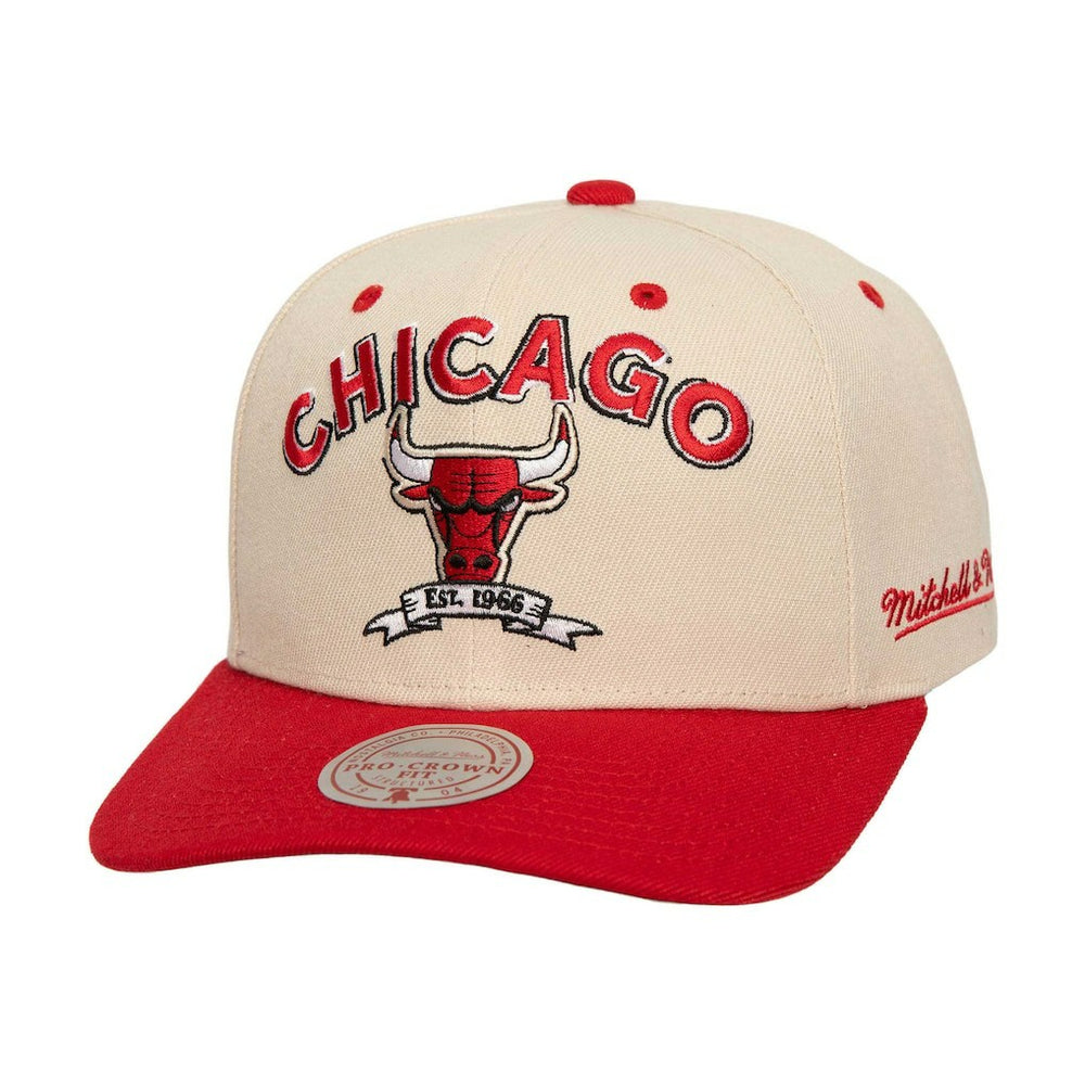 Chicago Bulls 6x NBA Champions Soul Legacy Defined Snapback Hat Discount
