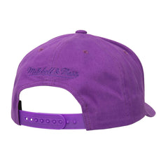 Phoenix Suns Washed Out Tonal Logo Snapback Hat New