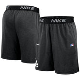 Los Angeles Dodgers Nike Authentic Collection Performance Knit Shorts | MLB Sale