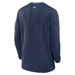 Tampa Bay Rays Nike Authentic Collection Performance Half-Zip Top | MLB Sale