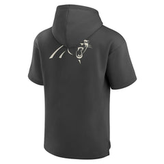 Carolina Panthers Fanatics Elements Future Ground Lettering Short Sleeve Pullover Hoodie