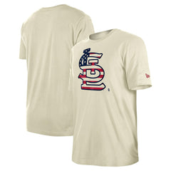 St. Louis Cardinals New Era Americana Flag Fill T-Shirt | MLB Outlet