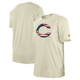 Cincinnati Reds New Era Americana Flag Fill T-Shirt | MLB On Sale