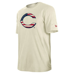 Cincinnati Reds New Era Americana Flag Fill T-Shirt | MLB On Sale