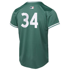 David Ortiz Boston Red Sox Nike Youth 2025 City Connect Limited Retired Player Jersey | MLB Outlet