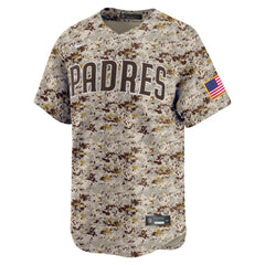 Fernando Tatis Jr. San Diego Padres Nike Alternate 2 Limited Jersey | MLB On Sale
