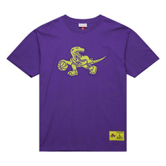 Toronto Raptors Hardwood Classics Neon Nights Premium T-Shirt Online