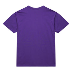 Toronto Raptors Hardwood Classics Neon Nights Premium T-Shirt Online