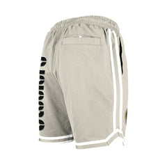 Pittsburgh Steelers New Era Stone Multi Patch Shorts
