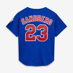 Ryne Sandberg Chicago Cubs Mitchell & Ness Cooperstown Collection 1997 Mesh Batting Practice Button-Up Jersey | MLB US