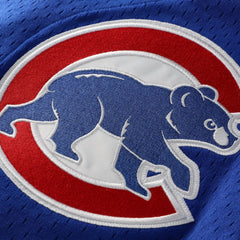 Ryne Sandberg Chicago Cubs Mitchell & Ness Cooperstown Collection 1997 Mesh Batting Practice Button-Up Jersey | MLB US