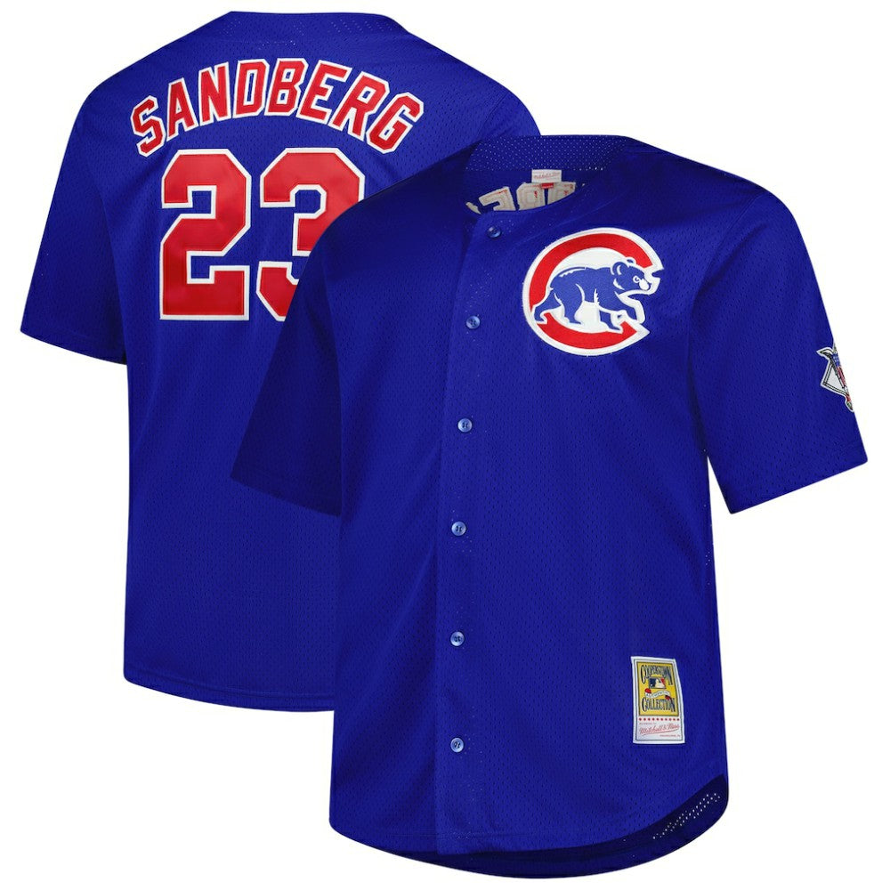 Ryne Sandberg Chicago Cubs Mitchell & Ness Big & Tall Cooperstown Mesh Batting Practice Jersey | MLB US