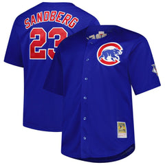 Ryne Sandberg Chicago Cubs Mitchell & Ness Big & Tall Cooperstown Mesh Batting Practice Jersey | MLB US