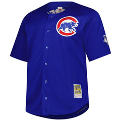 Ryne Sandberg Chicago Cubs Mitchell & Ness Big & Tall Cooperstown Mesh Batting Practice Jersey | MLB US