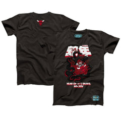 Chicago Bulls NBALab x Hyperfly Unisex Year of the Snake Lunar New Year Collection T-Shirt sale Online