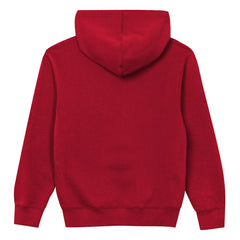 Atlanta Falcons Outerstuff Preschool Back to Basics Hoodie