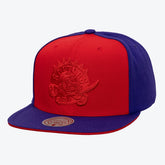 Toronto Raptors Color Pop Snapback Hat On Sale