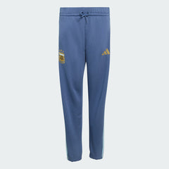 Argentina National Team Youth FIFA x World Cup Alphaskin Pants Blue - Adidas